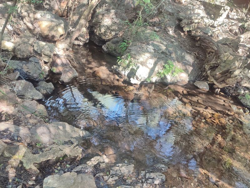 A natural stream flowing through a rocky landscape on the farm property.