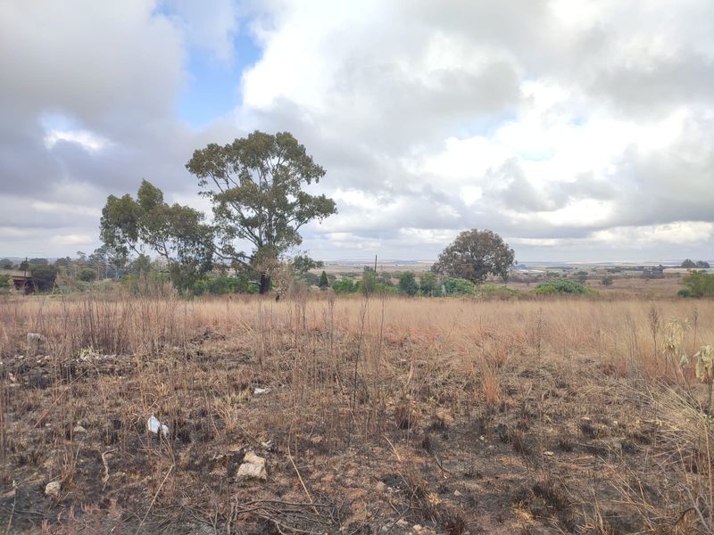 A view of a vacant residential plot featuring open grassland and mature trees under a cloudy sky.