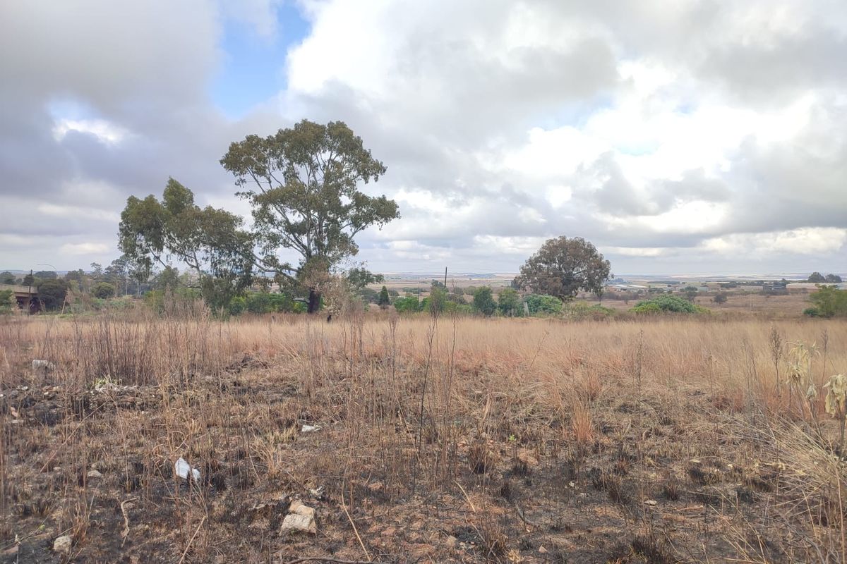 A view of a vacant residential plot featuring open grassland and mature trees under a cloudy sky.
