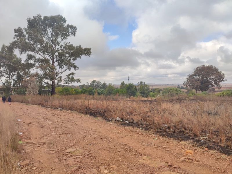 A view of a vacant residential plot featuring an unpaved access road, natural landscape, and mature trees under a cloudy sky.