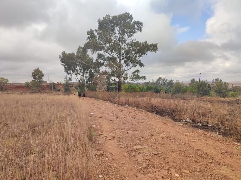 A view of a vacant residential plot featuring an unpaved access road, mature trees, and natural grassland terrain.