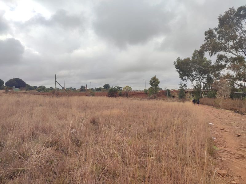 An expansive, unimproved vacant residential plot featuring natural dry grass, mature trees, and an unpaved access path.