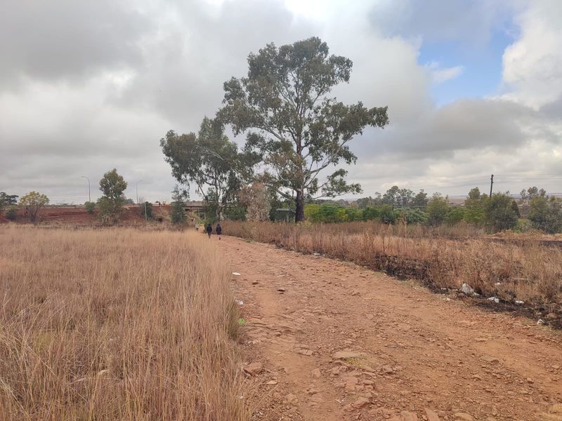 A view of an undeveloped residential plot featuring a dirt access path, natural dry grass, and mature trees under a cloudy sky.