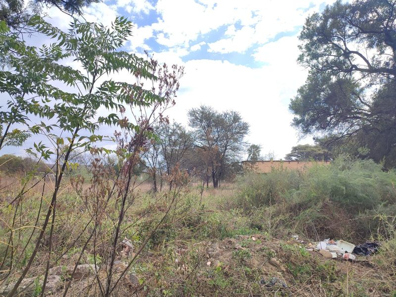 A view of a vacant residential plot featuring mature trees and overgrown native vegetation, requiring clearing and site preparation.