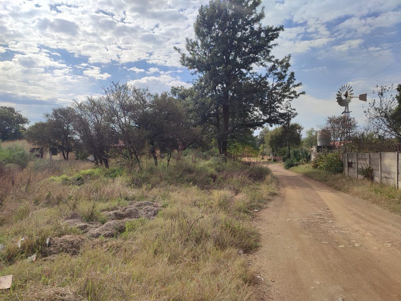 A view of a vacant residential plot featuring a dirt road access, mature trees, a traditional windmill, and a concrete boundary wall.