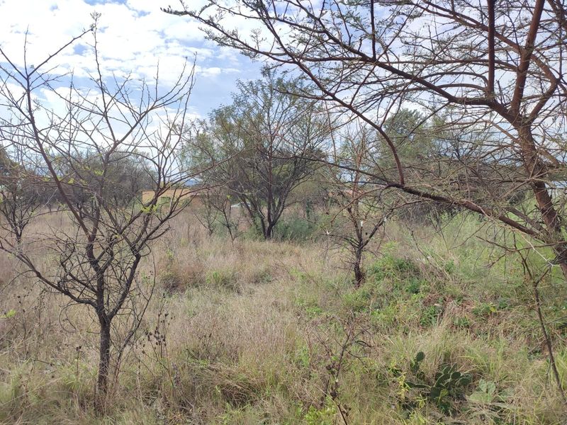 A view of a vacant residential plot featuring natural vegetation and mature trees.