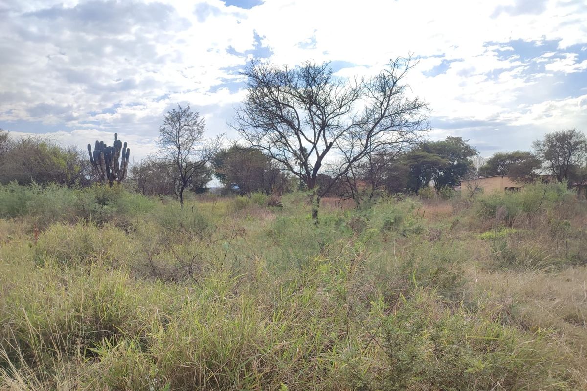 A view of a vacant residential plot featuring natural vegetation, native shrubs, and mature trees under a cloudy sky.