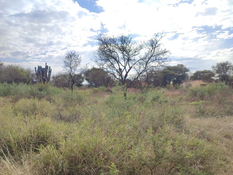 A view of a vacant residential plot featuring natural vegetation, native shrubs, and mature trees under a cloudy sky.