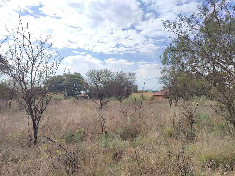 A view of a vacant residential plot featuring natural vegetation, dry grass, and scattered trees under a cloudy sky.