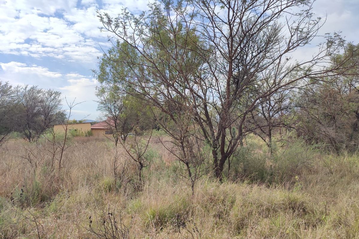 A view of a vacant residential plot featuring mature trees and natural wild vegetation.
