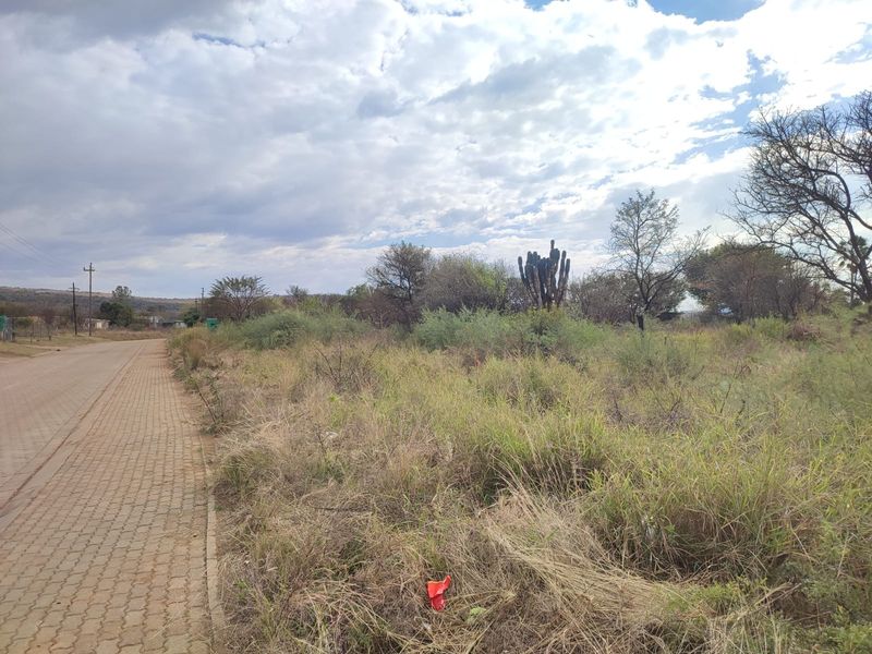 A view of a vacant residential plot adjacent to a paved street, featuring natural vegetation and established trees.