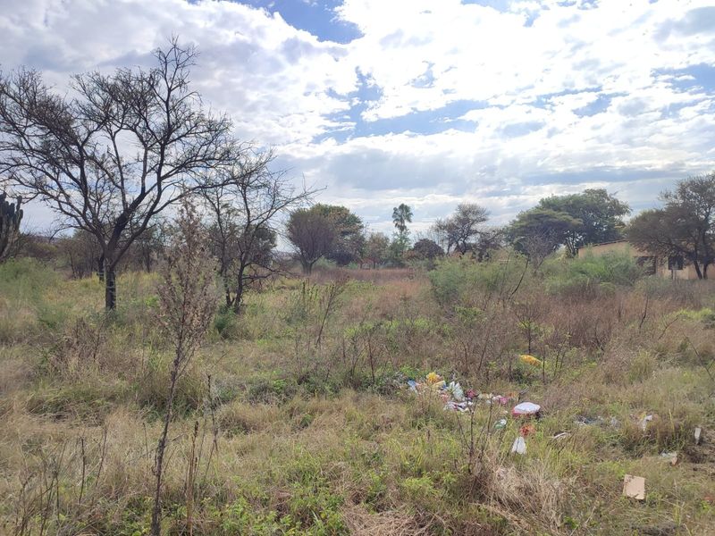 A vacant residential plot featuring native vegetation and mature trees, requiring clearing and site preparation for future development.