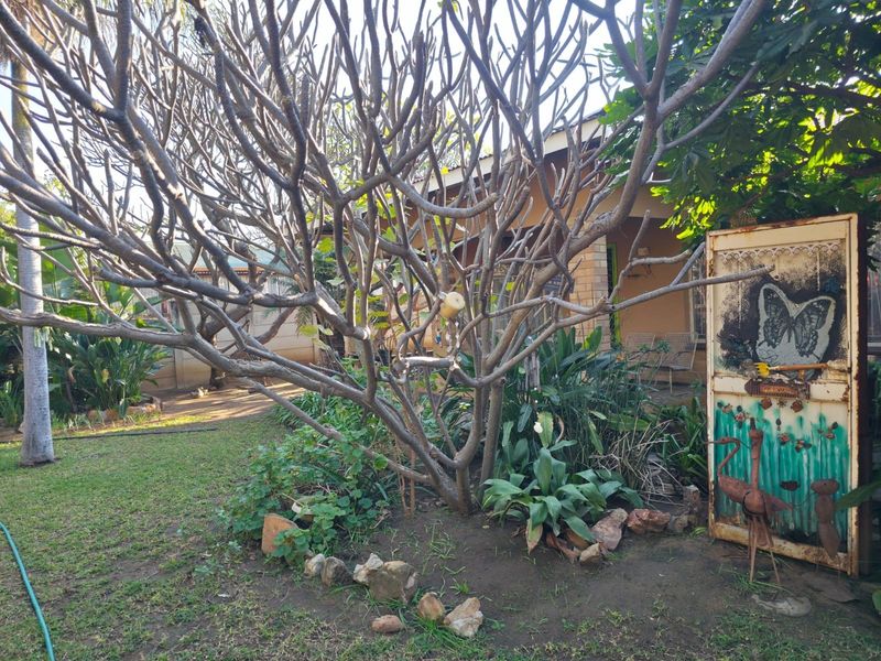 A view of the property's garden area featuring mature trees and established landscaping adjacent to the main house structure.