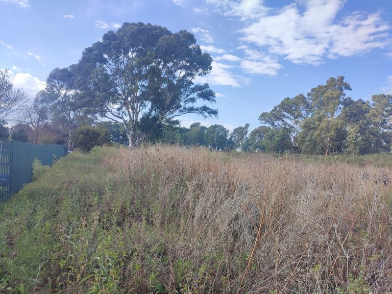 A view of a vacant residential plot featuring overgrown grass, mature trees, and perimeter fencing along the boundary.