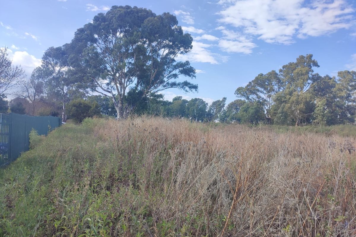 A view of a vacant residential plot featuring overgrown grass, mature trees, and perimeter fencing along the boundary.