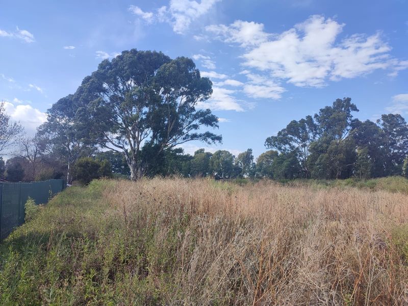 A vacant residential plot featuring mature trees and perimeter fencing, offering a natural landscape setting.