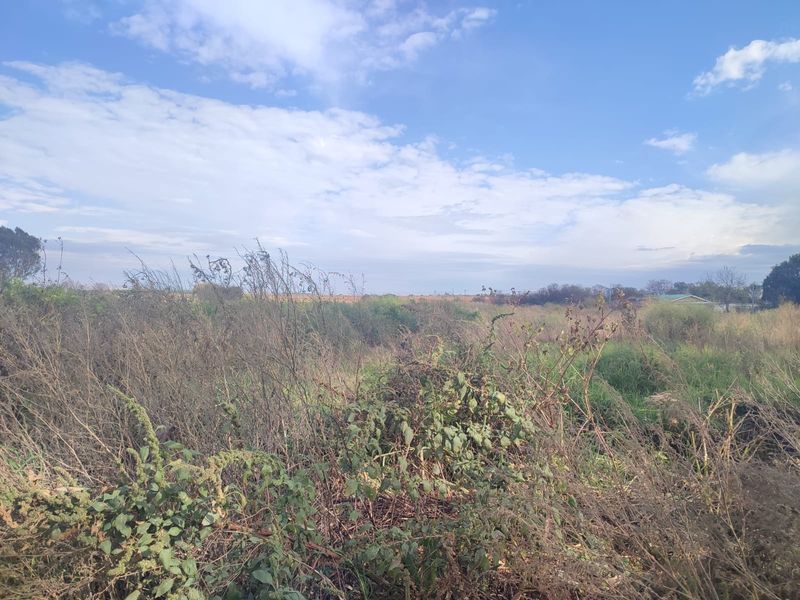 A view of an undeveloped residential land plot featuring natural vegetation and open space.