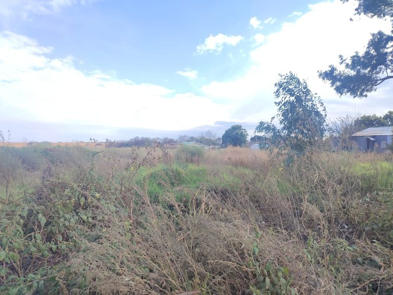 A view of a vacant residential plot featuring overgrown natural vegetation and open land.