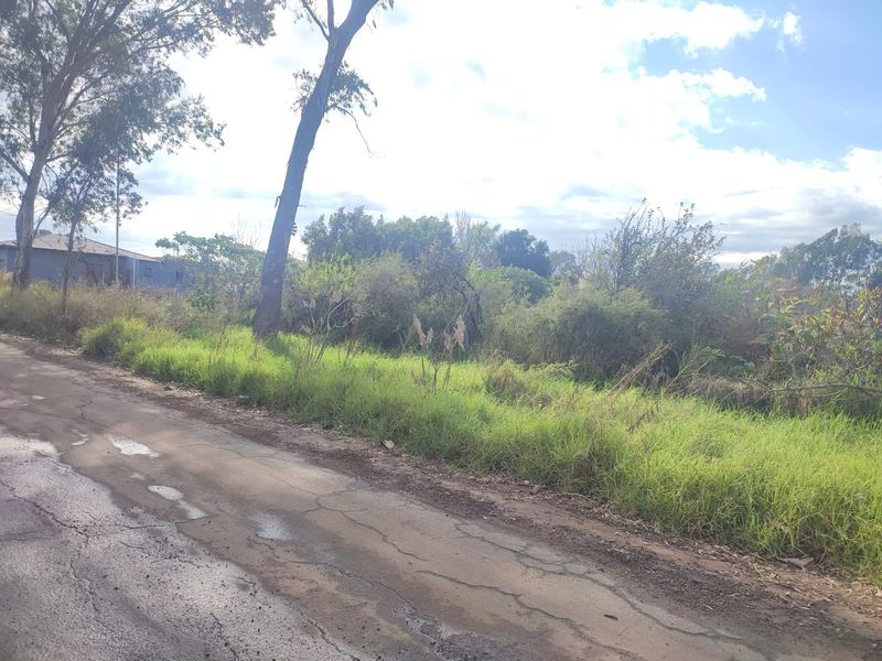 A view of the street frontage showing the adjacent vacant residential land with mature trees and natural vegetation.