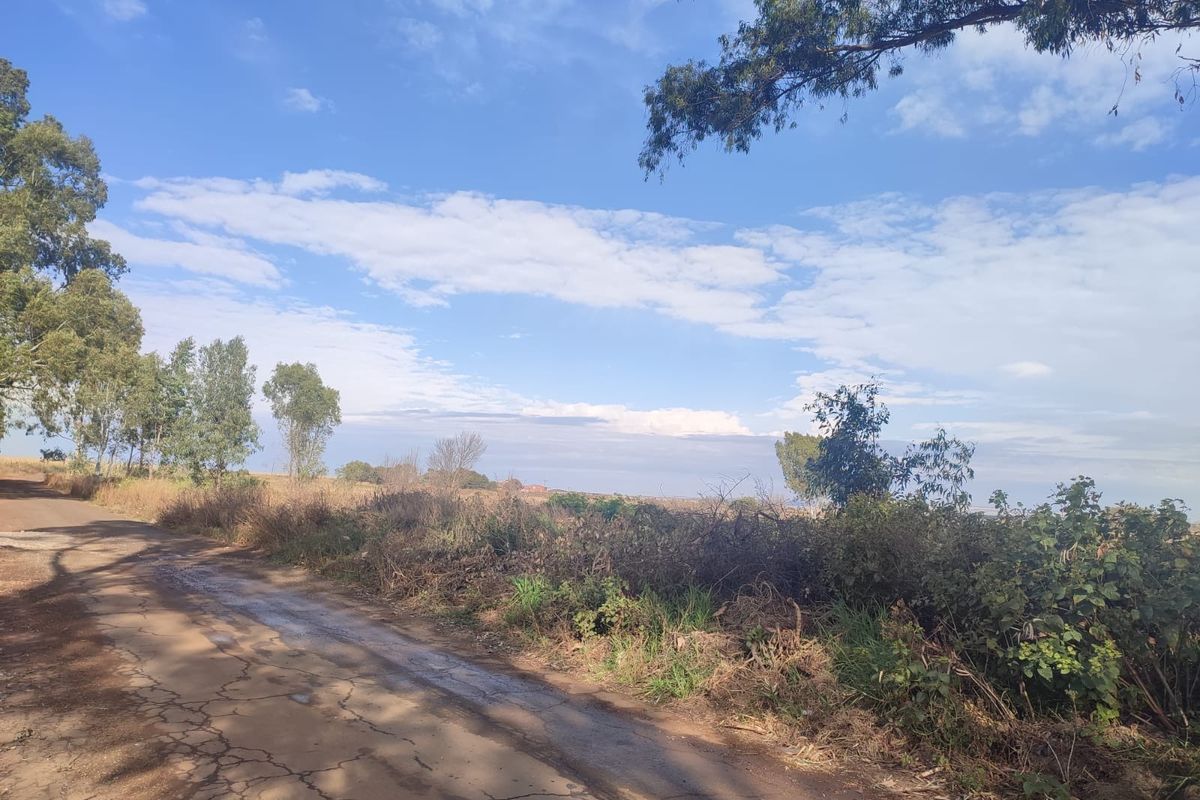 A view of an unpaved road leading through a vacant residential land plot with natural vegetation and clear sky.