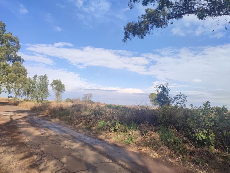 A view of an unpaved road leading through a vacant residential land plot with natural vegetation and clear sky.