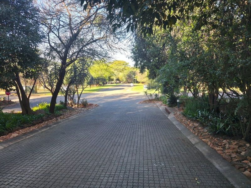 A view of a paved residential driveway leading towards a street intersection, surrounded by mature trees and established garden landscaping.