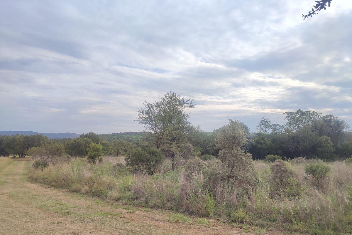A view of the vacant residential land featuring natural grassland, native trees, and surrounding vegetation under a cloudy sky.