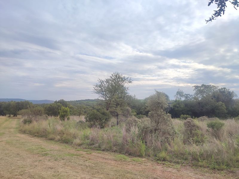 A view of the vacant residential land featuring natural grassland, native trees, and surrounding vegetation under a cloudy sky.