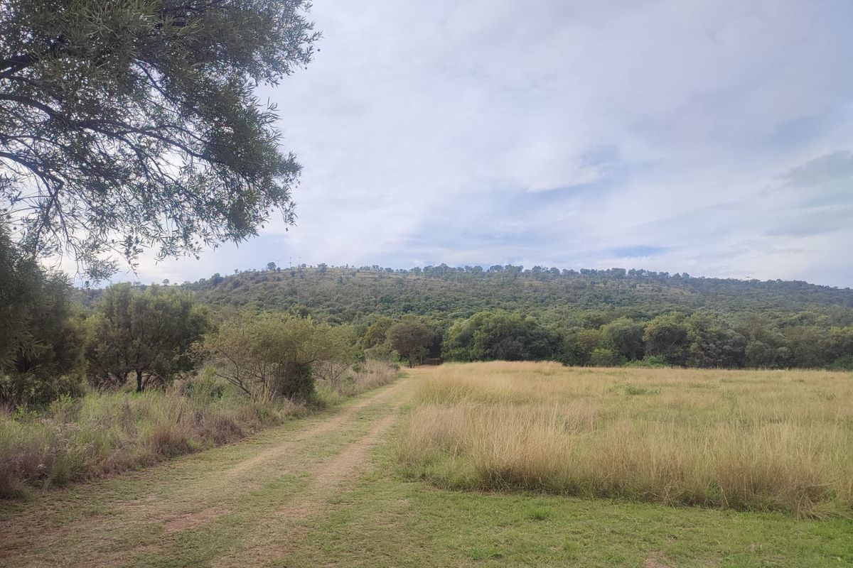 A scenic view of a vacant residential plot featuring natural grassland, native trees, and a dirt access track with a hilly landscape backdrop.