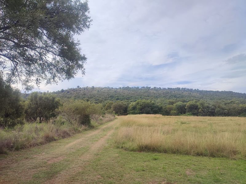 A scenic view of a vacant residential plot featuring natural grassland, native trees, and a dirt access track with a hilly landscape backdrop.
