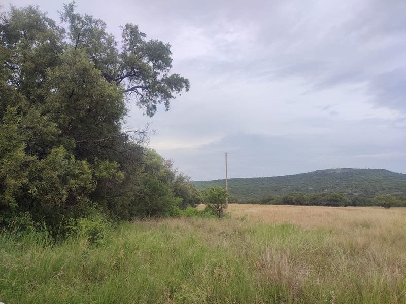 A view of a vacant residential plot featuring natural grassland, mature trees, and distant hills under an overcast sky.