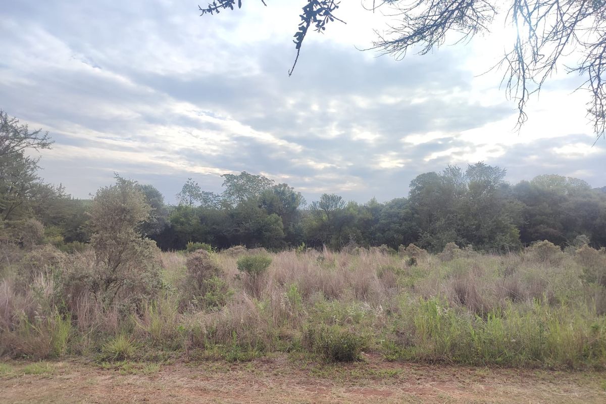 A view of a vacant residential plot featuring natural vegetation and open land, suitable for future development.