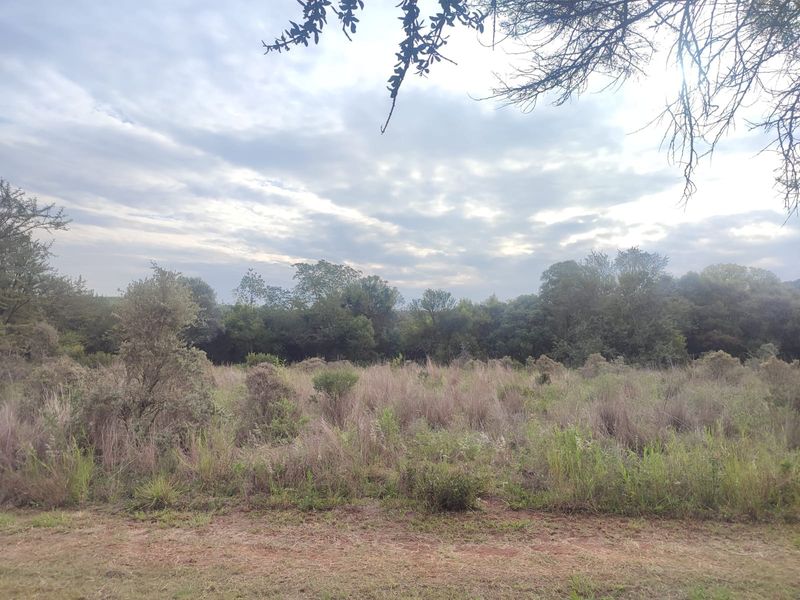 A view of a vacant residential plot featuring natural vegetation and open land, suitable for future development.