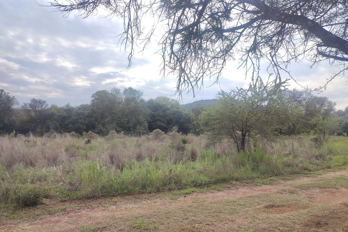 A view of a vacant residential plot featuring natural vegetation, mature trees, and an unpaved access path.