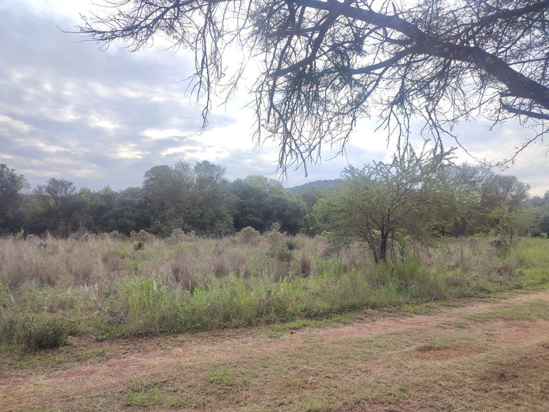 A view of a vacant residential plot featuring natural vegetation, mature trees, and an unpaved access path.