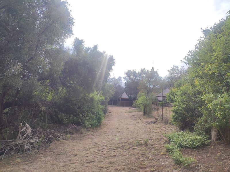 A view of a natural, undeveloped residential plot featuring mature trees, native vegetation, and existing perimeter fencing.