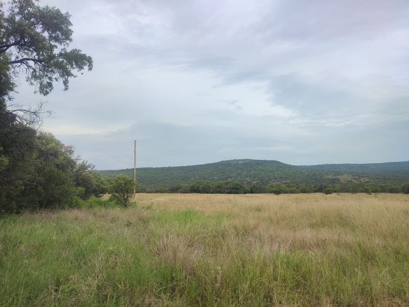 A scenic view of open, grassy vacant land with mature trees and distant hills under a cloudy sky.