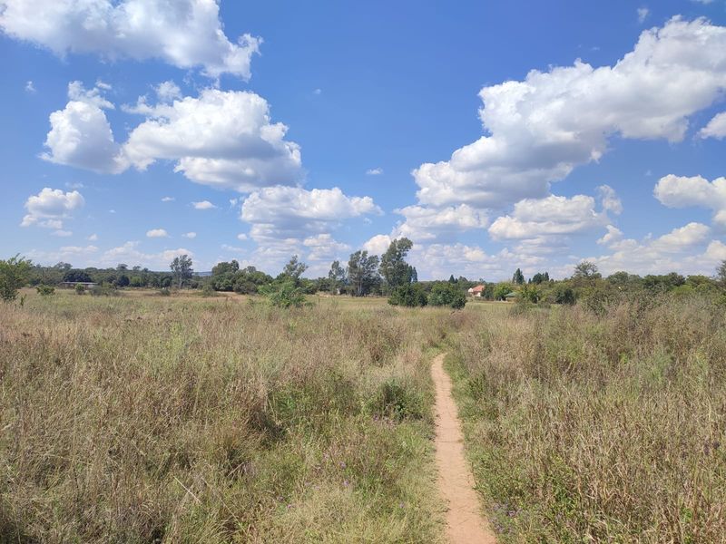 A scenic view of the expansive farm landscape featuring natural vegetation and a walking path under a clear blue sky.