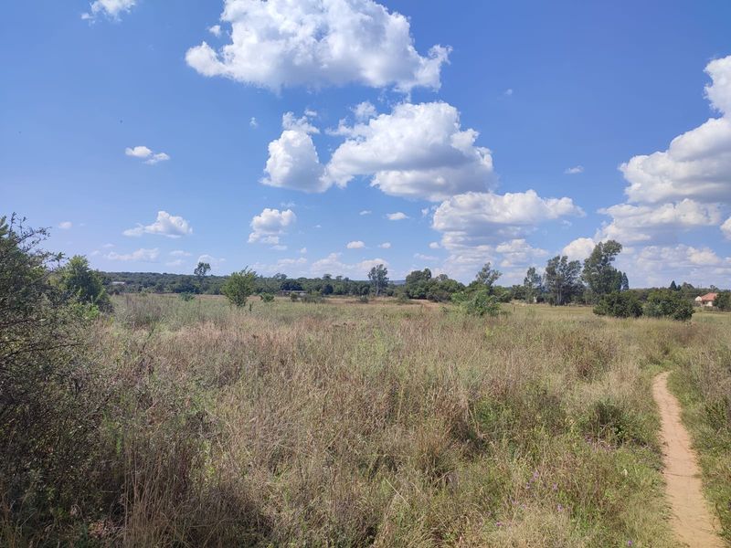 A wide-angle view of the expansive natural landscape and open fields on the farm property, featuring a dirt walking path.