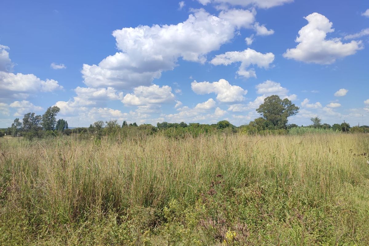 A wide-angle view of an open grassy field on the farm property under a clear blue sky with scattered clouds.