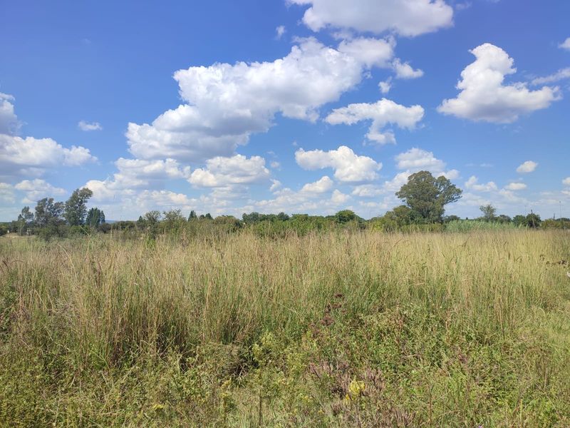 A wide-angle view of an open grassy field on the farm property under a clear blue sky with scattered clouds.