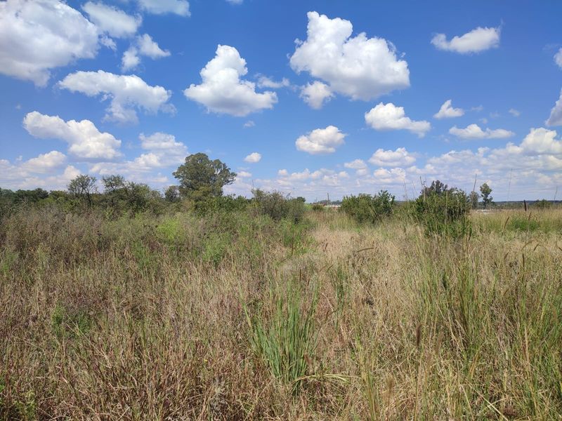 An expansive, undeveloped plot of land featuring natural wild grasses and scattered indigenous shrubs under a clear blue sky.