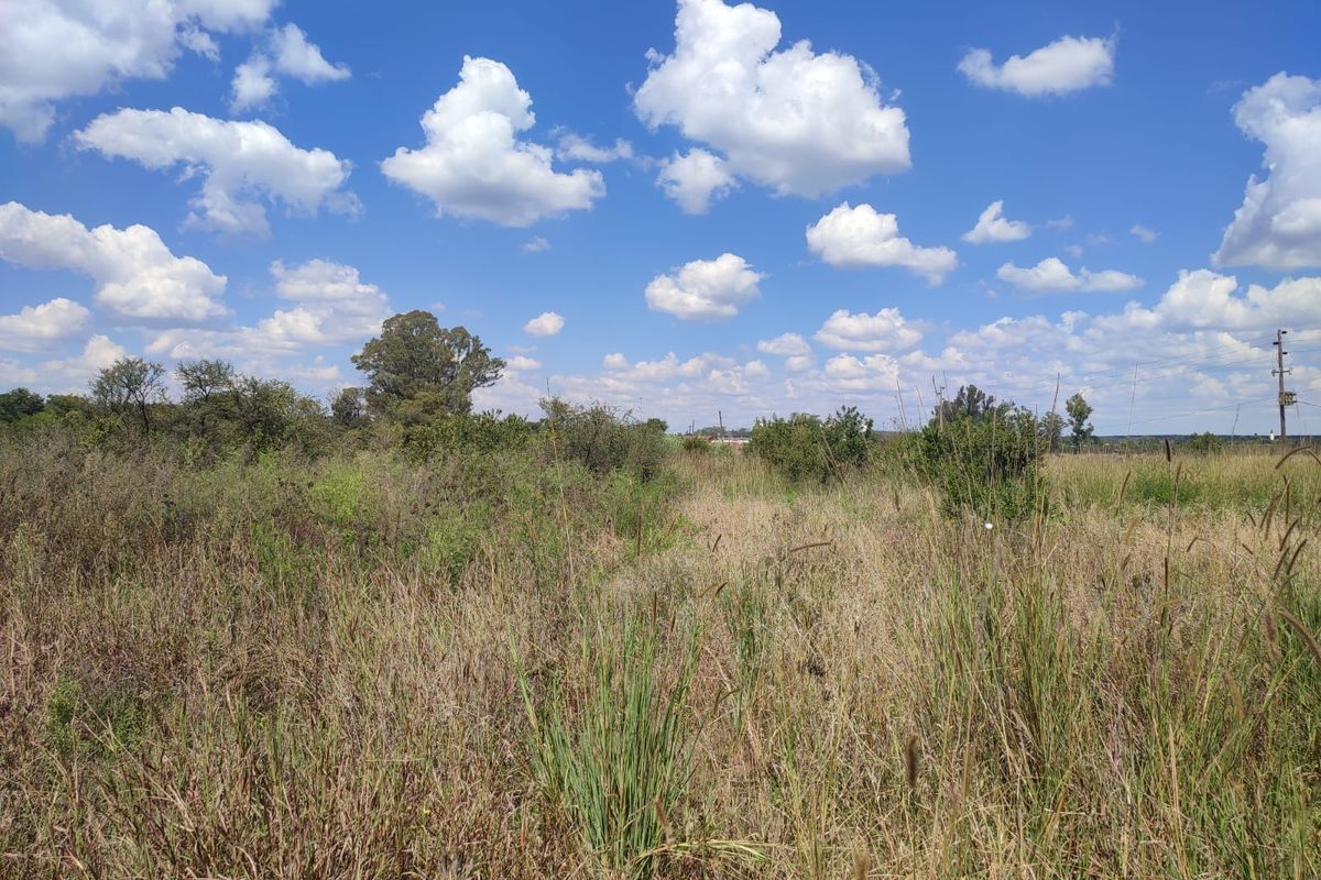 An expansive, undeveloped plot of land featuring natural wild grasses, shrubs, and open sky, suitable for agricultural or development purposes.