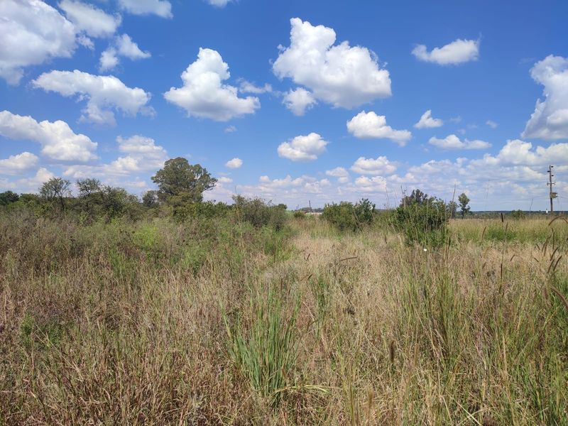 An expansive, undeveloped plot of land featuring natural wild grasses, shrubs, and open sky, suitable for agricultural or development purposes.