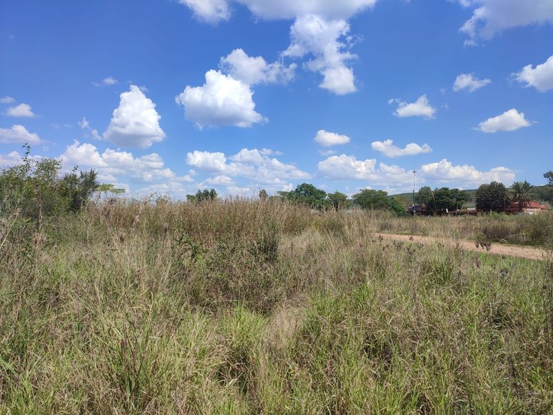 An expansive, undeveloped plot of land featuring natural grass and wild vegetation under a clear blue sky.