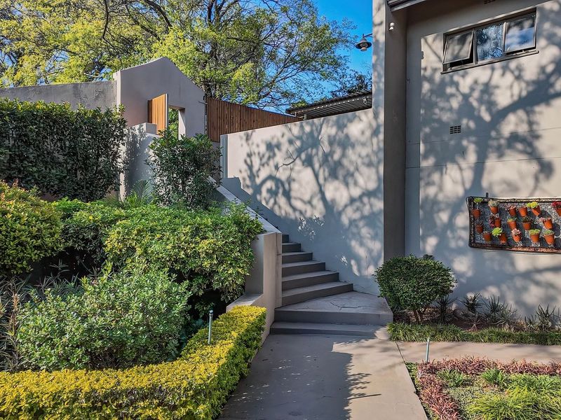 A well-maintained rear garden area featuring a concrete pathway leading to a staircase, surrounded by established landscaping and retaining walls.