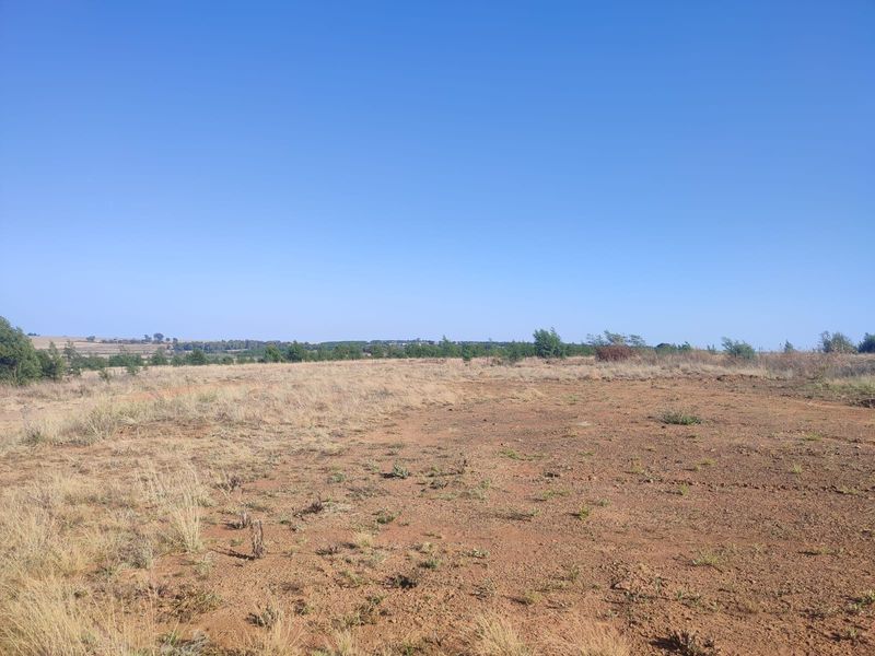A wide-angle view of an expansive, undeveloped residential plot featuring natural dry grass and open landscape under a clear blue sky.