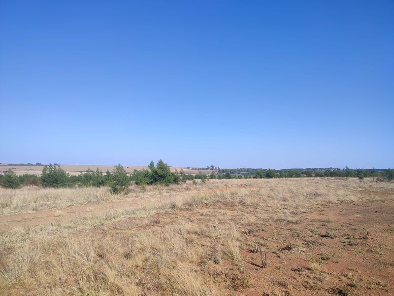 A wide-angle view of an expansive, undeveloped residential plot featuring natural dry grass and distant tree lines under a clear blue sky.
