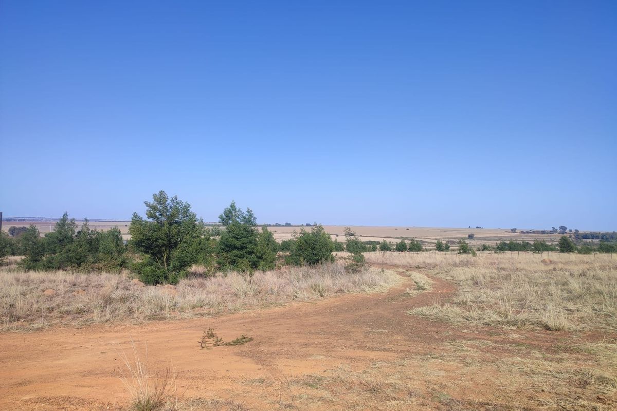A wide-angle view of a vacant residential plot featuring natural grassland, scattered trees, and a dirt access track under a clear blue sky.