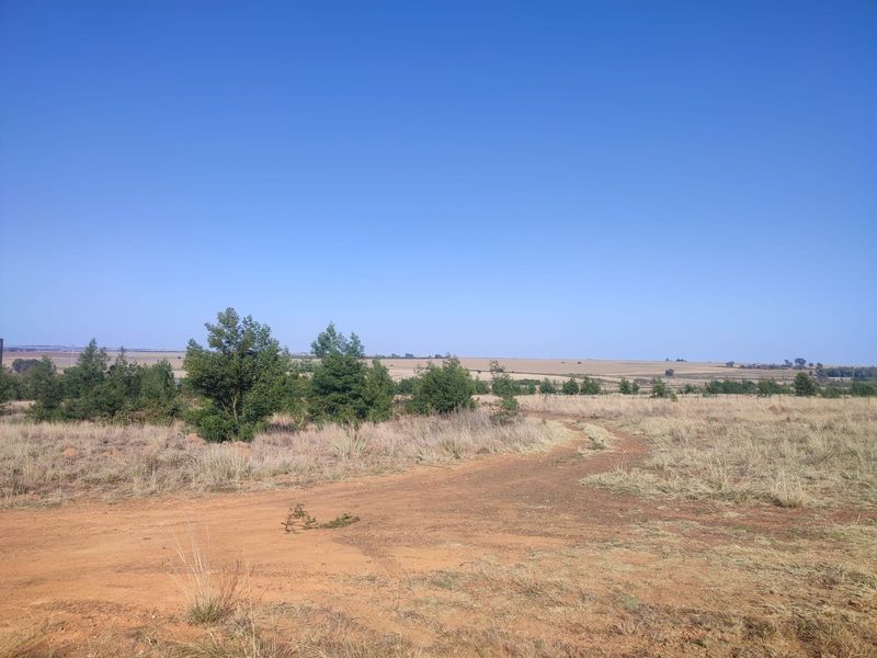 A wide-angle view of a vacant residential plot featuring natural grassland, scattered trees, and a dirt access track under a clear blue sky.